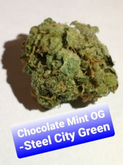 Chocolate Mint