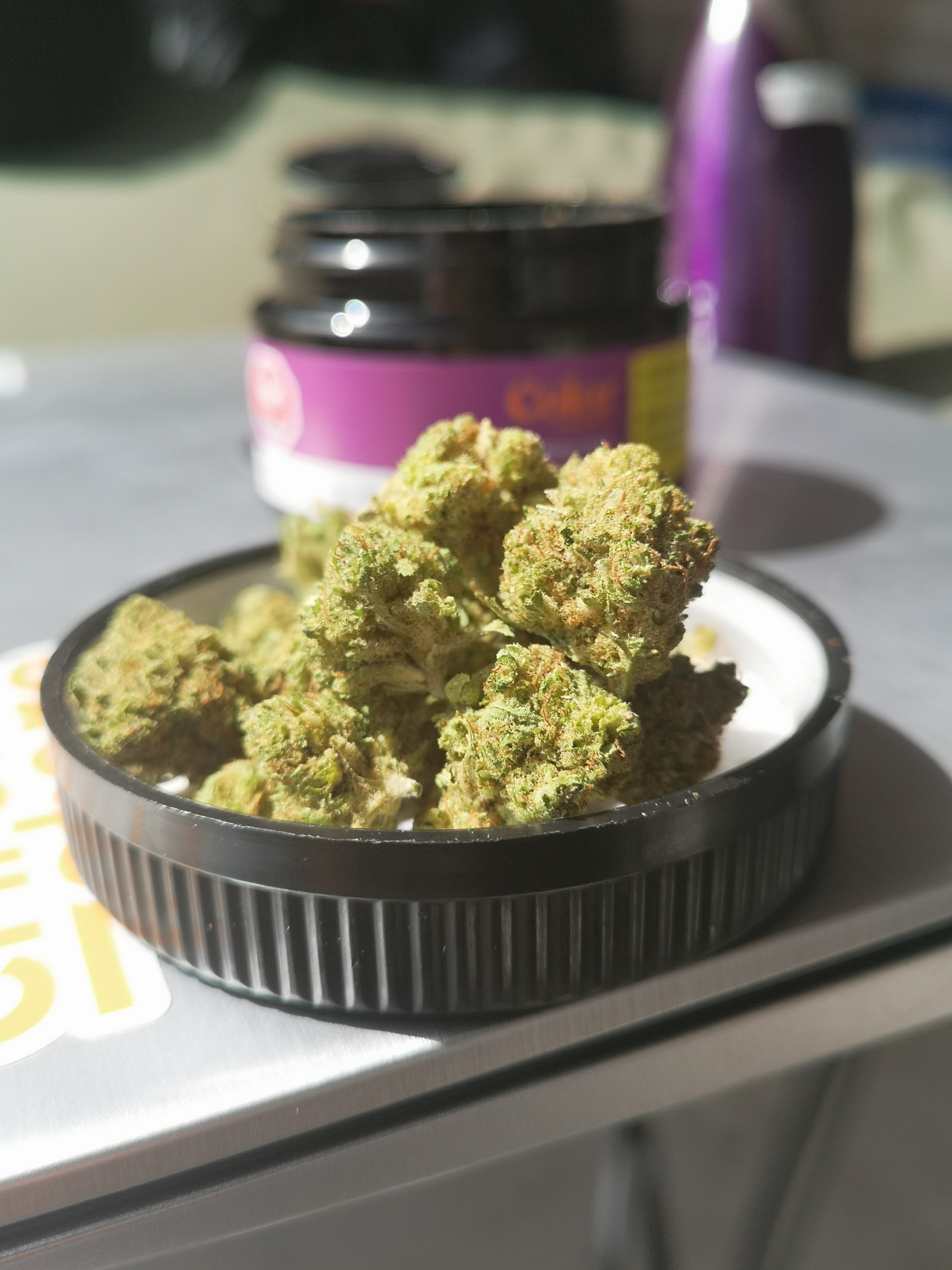 MANGO HAZE by Color Cannabis