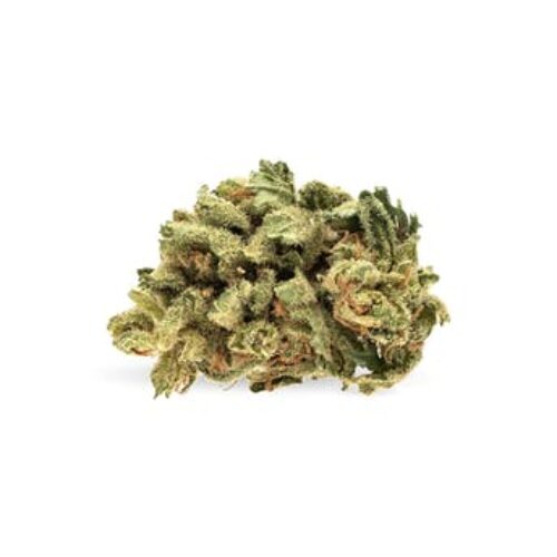 Raider Kush