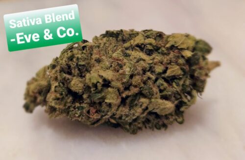 Sativa