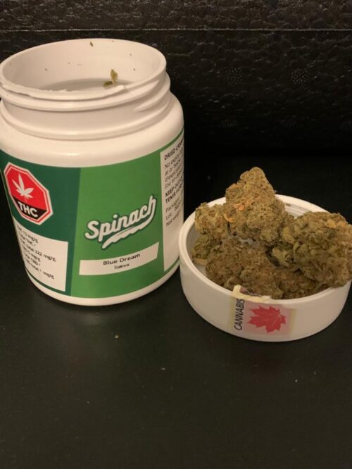 blue dream weed