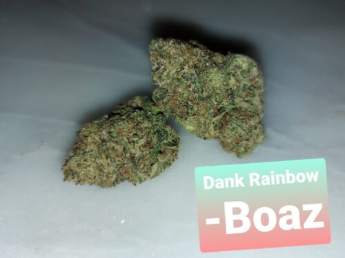 Dank