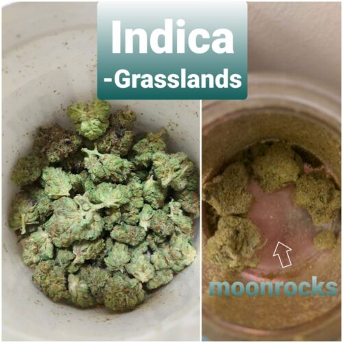 Grasslands