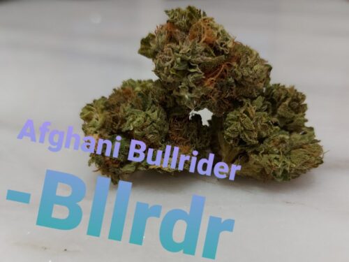 bllrid