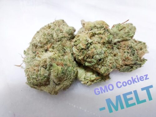 GMO