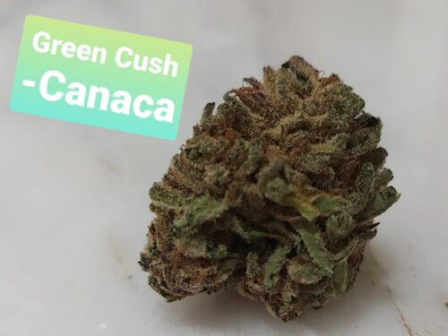 cush