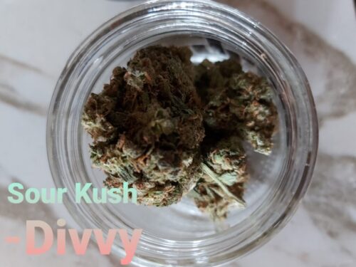 Sour Kush