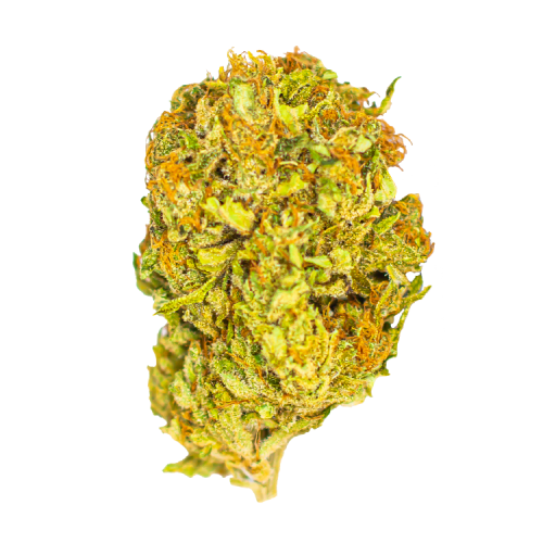 mango haze