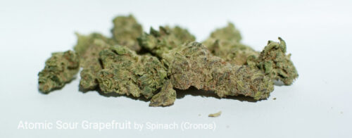 Atomic-Sour-Grapefruit-by-Spinach-Cronos