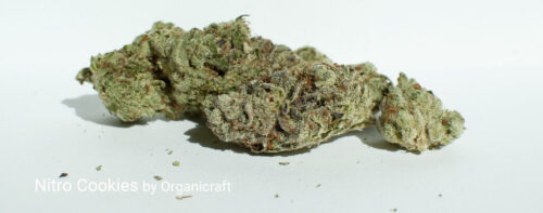 Nitro-Cookies-by-Organicraft