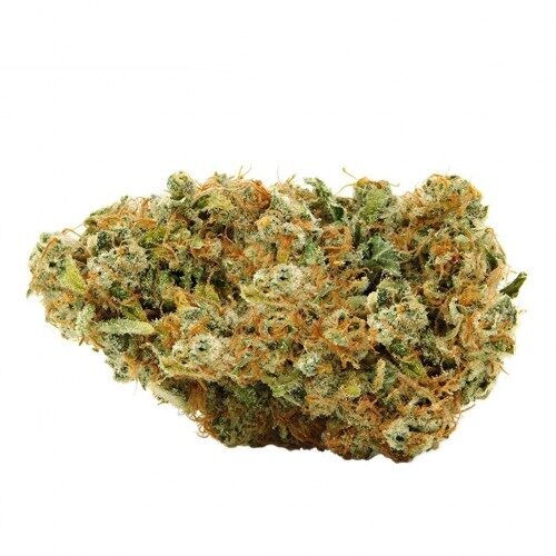SAGE