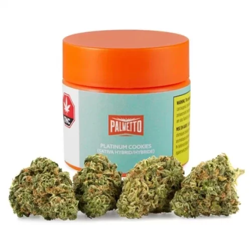 palmetto