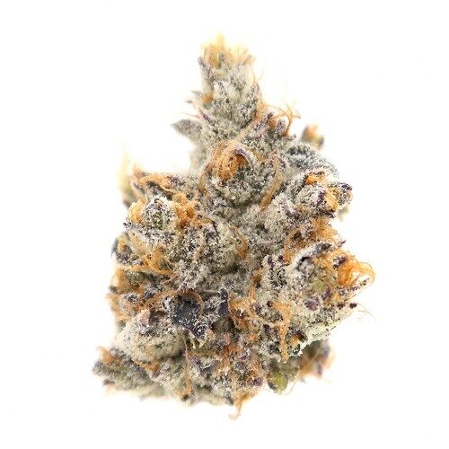 platinum grape
