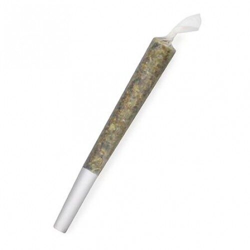 Indica