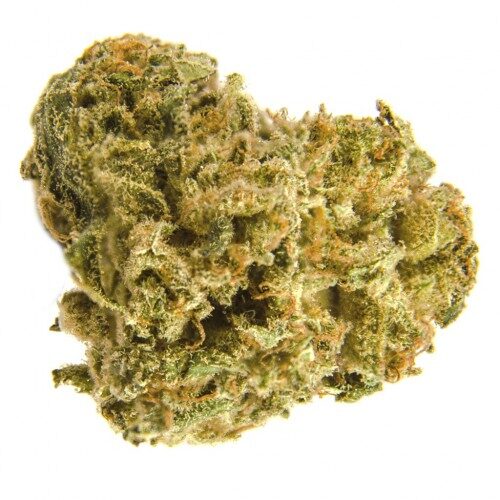 black widow