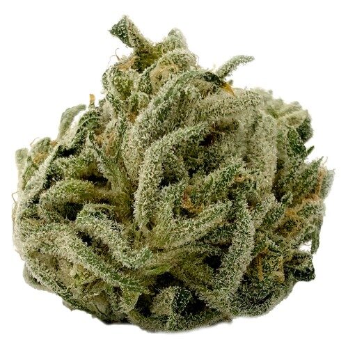 Cookies N Cream
