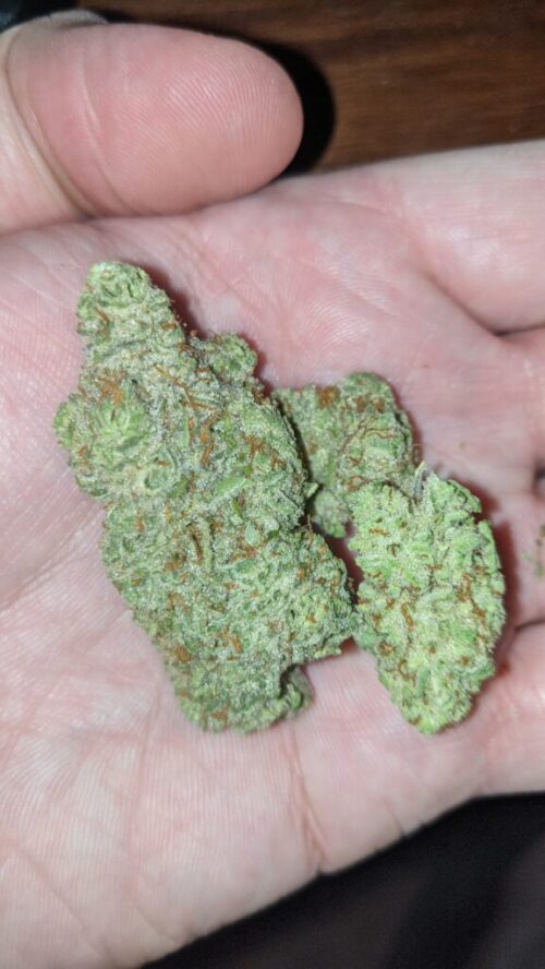 nugz