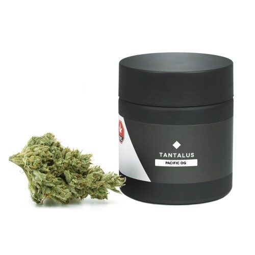 PACIFIC OG
