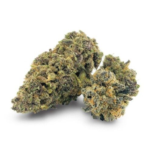 pINEAPPLE BUDS