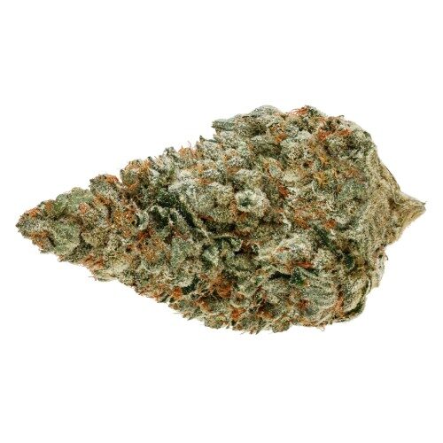 jet fuel
