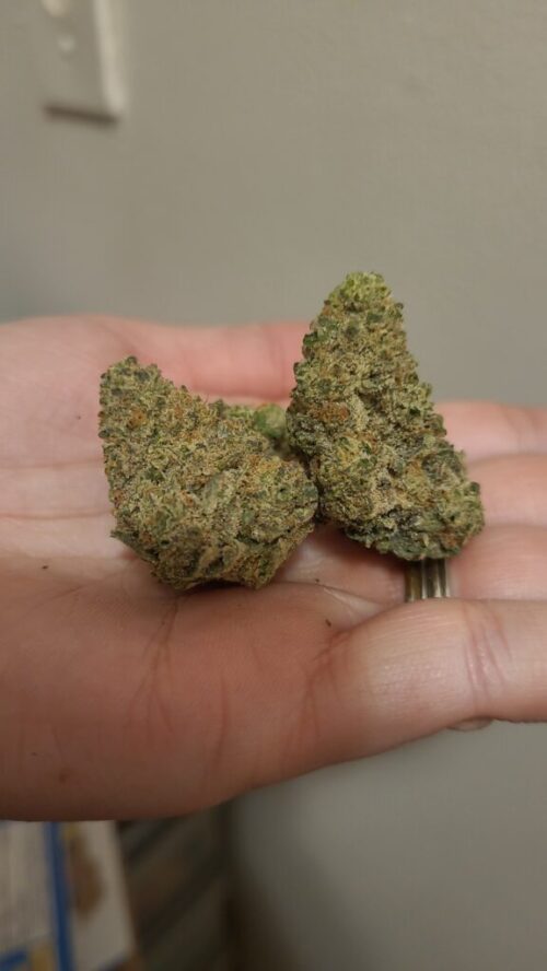 wEST COAST mtl