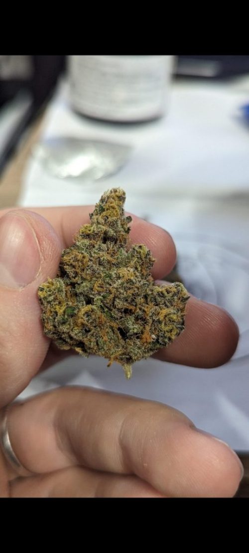 sLURRICANE